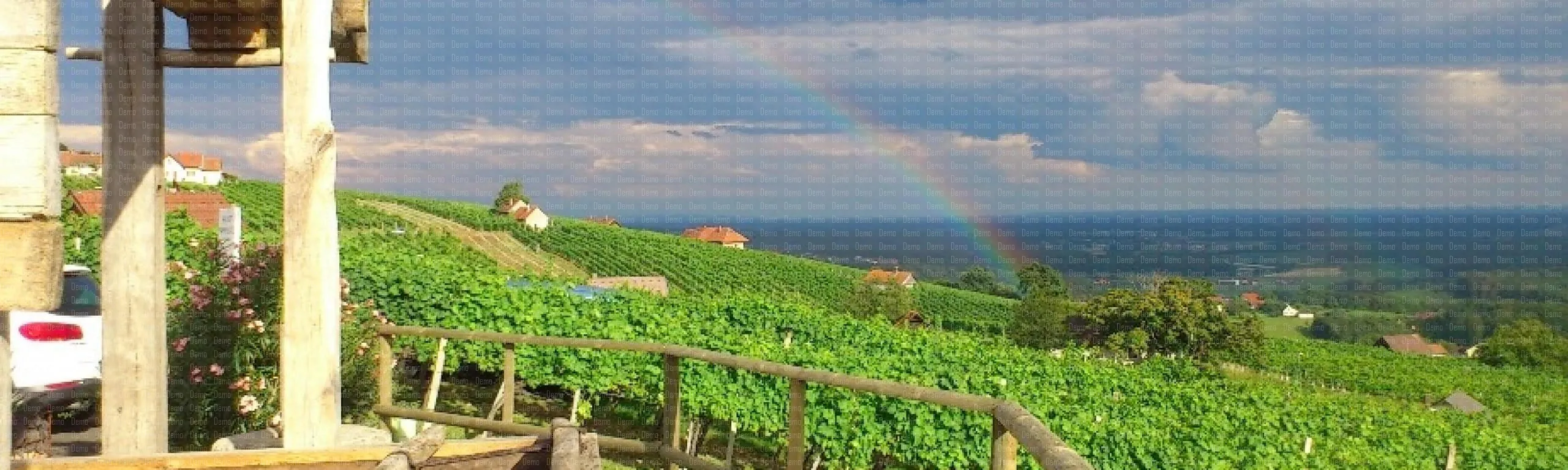 Aussicht