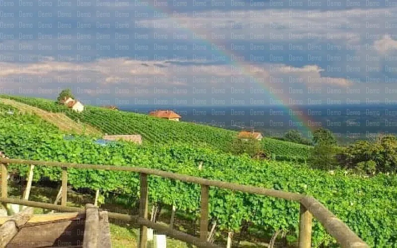 slide1.jpg